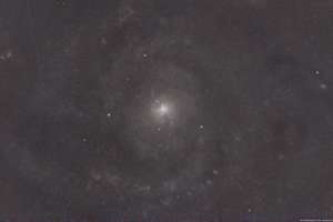 The Hidden Galaxy (IC 342) - March 19, 2025, 7:45 p.m.